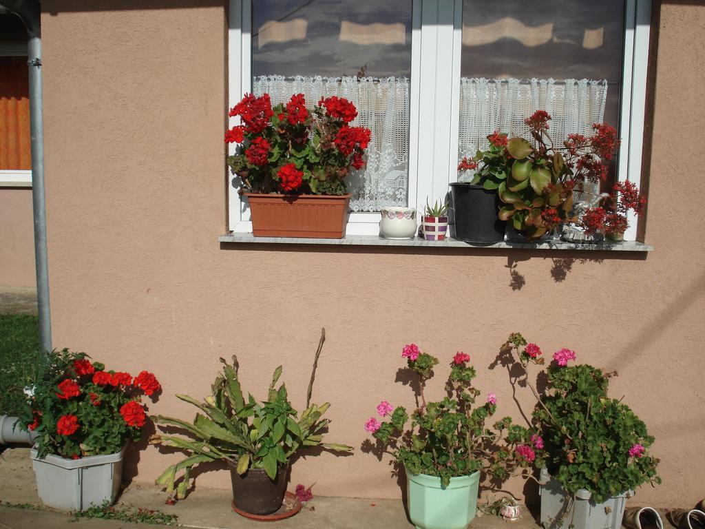 Rooms Marica Seliste Dreznicko Dış mekan fotoğraf